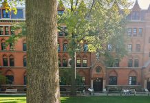 Yale da vida real: o tour que todo fã de Gilmore Girls precisa fazer