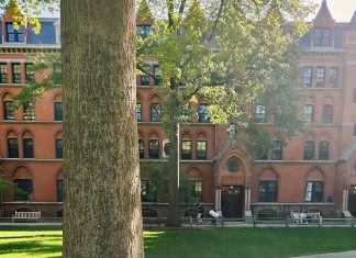 Yale da vida real: o tour que todo fã de Gilmore Girls precisa fazer